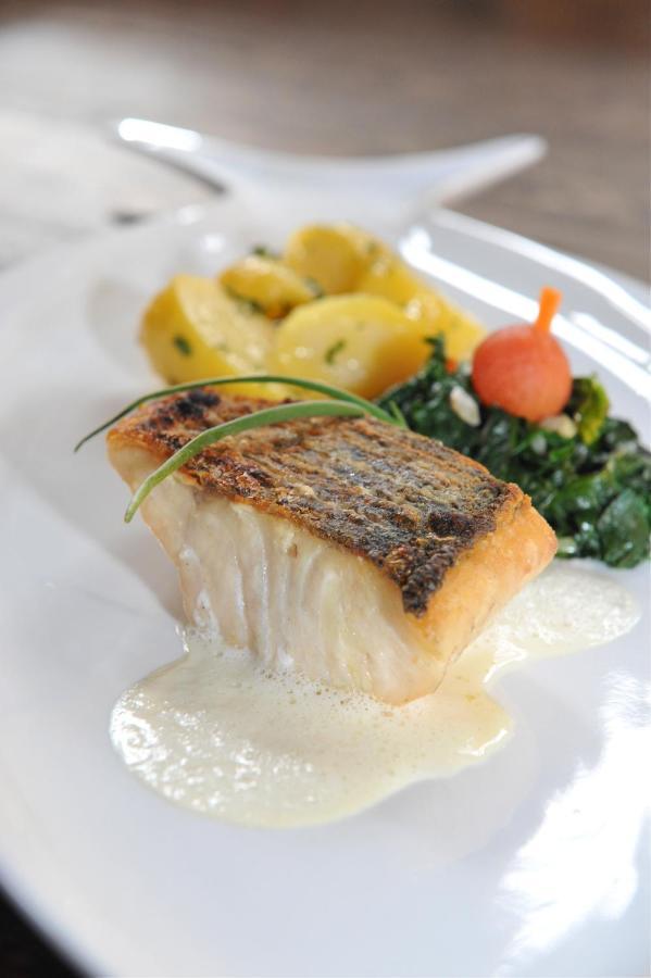 Bio-hotel Adler/restaurant 3*